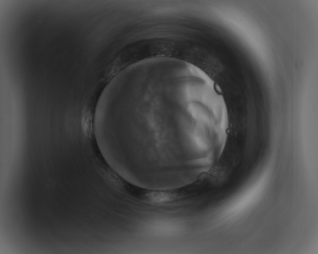 X0000100950766200807151337