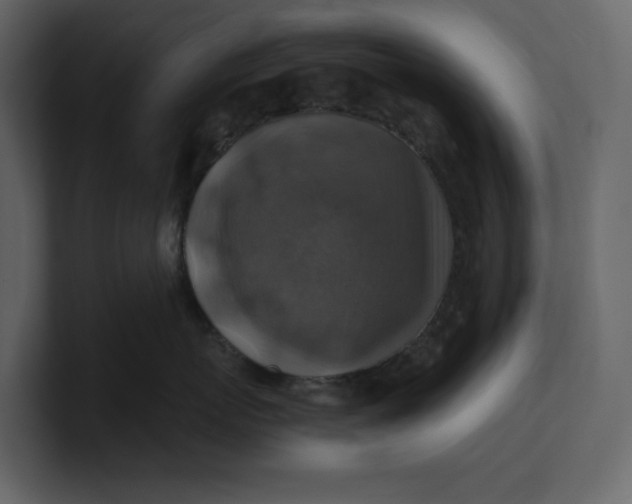 X0000100950767200807151337