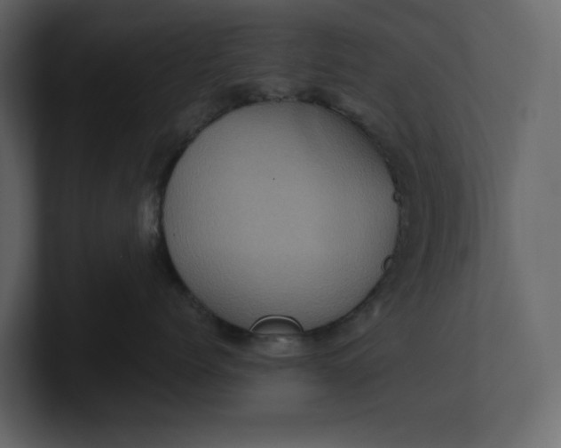 X0000100950768200807151337