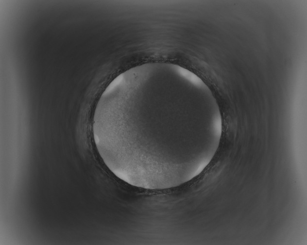 X0000100950769200807151336