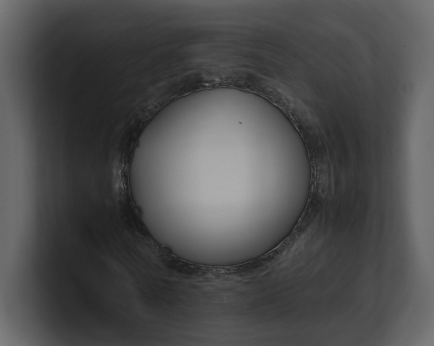 X0000100950770200807151336