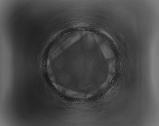 X0000100950775200807151336