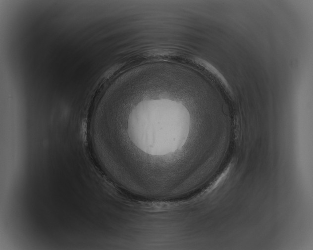 X0000100950777200807151336