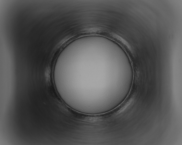 X0000100950778200807151336