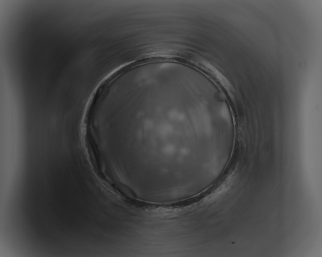 X0000100950779200807151336