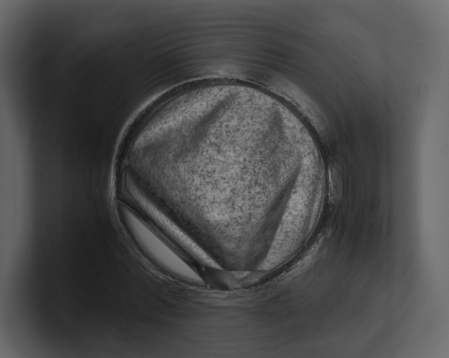 X0000100950780200807151336