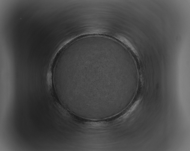 X0000100950781200807151336