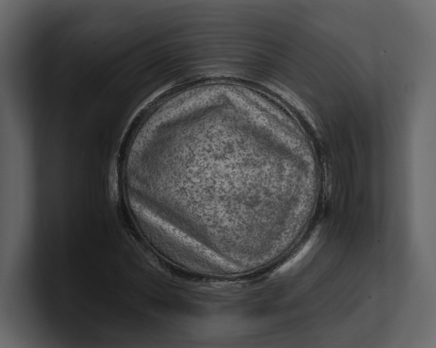 X0000100950782200807151336