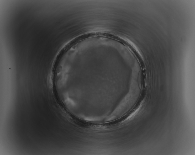 X0000100950783200807151336