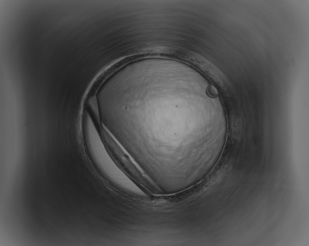 X0000100950784200807151336