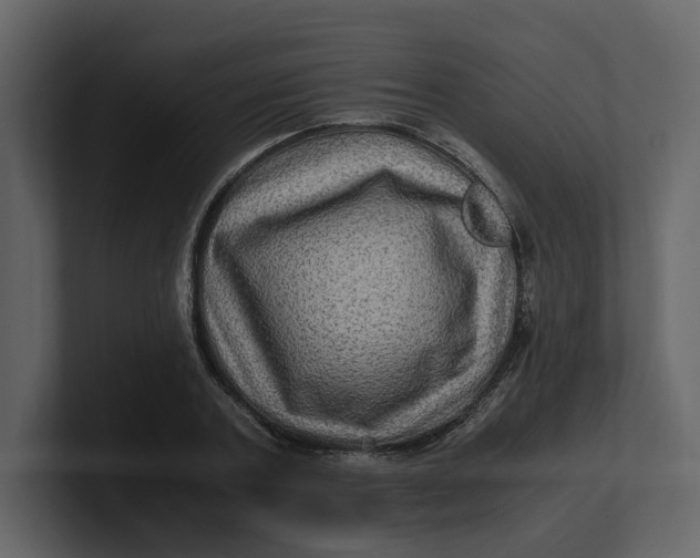 X0000100950787200807151336