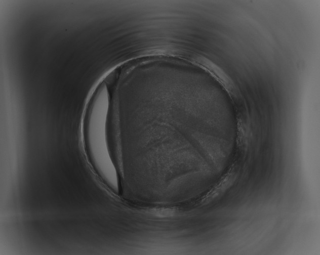 X0000100950788200807151336