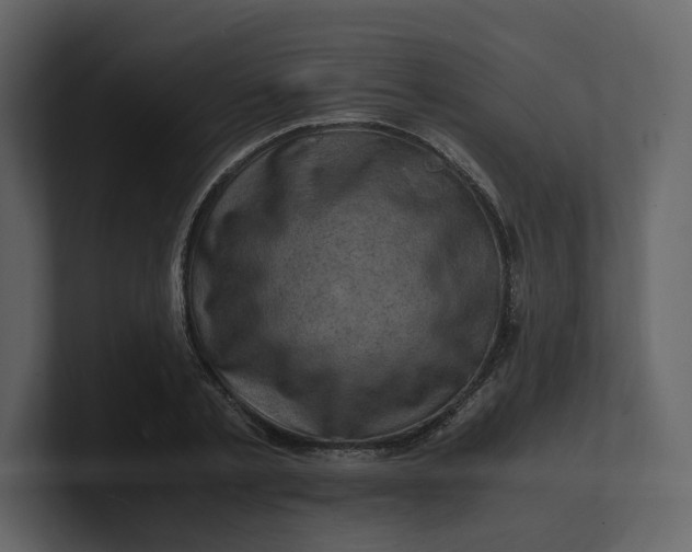 X0000100950789200807151336