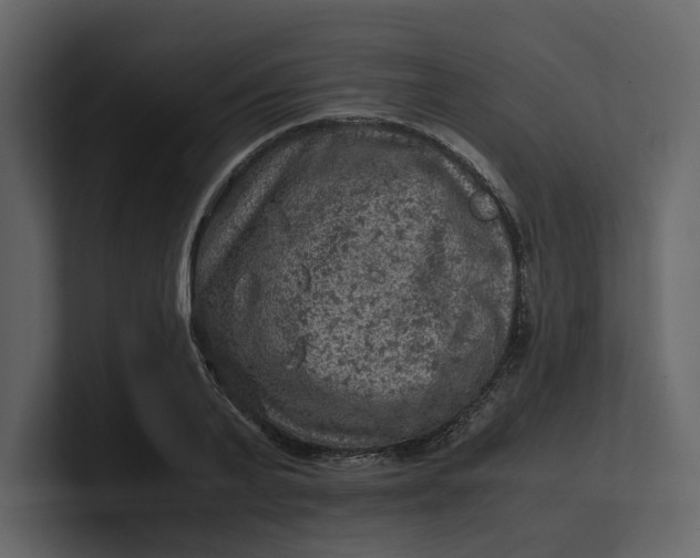 X0000100950791200807151336