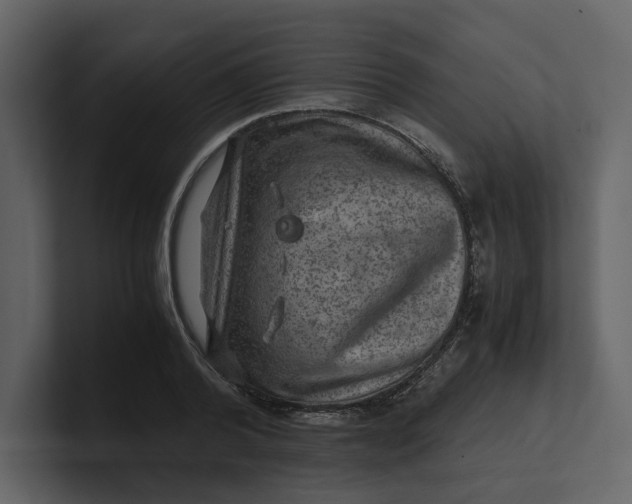 X0000100950792200807151336