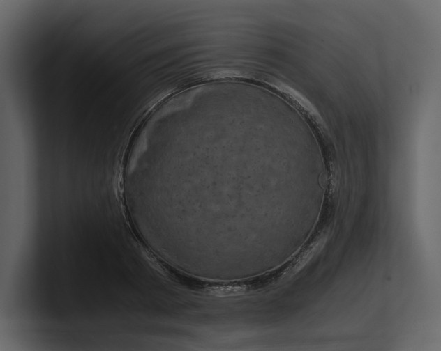 X0000100950793200807151336