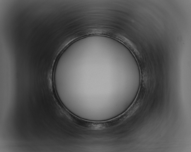 X0000100950794200807151336