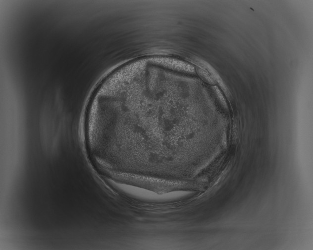 X0000100950795200807151336