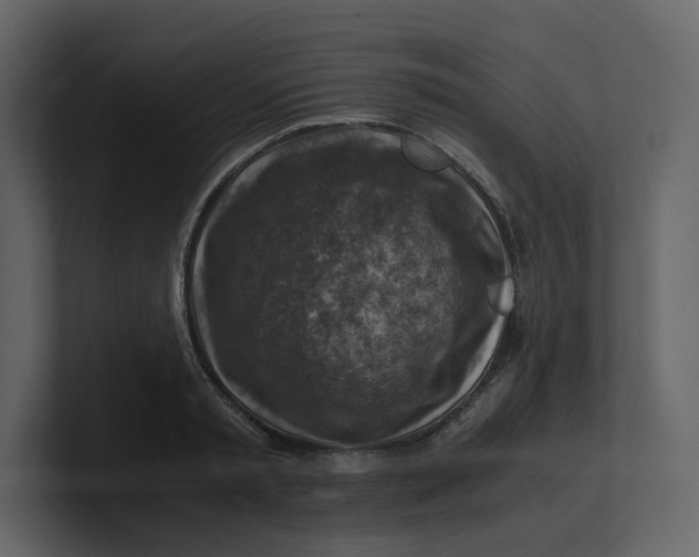 X0000100950797200807151336