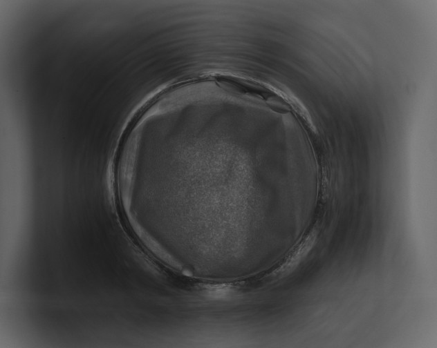 X0000100950798200807151336