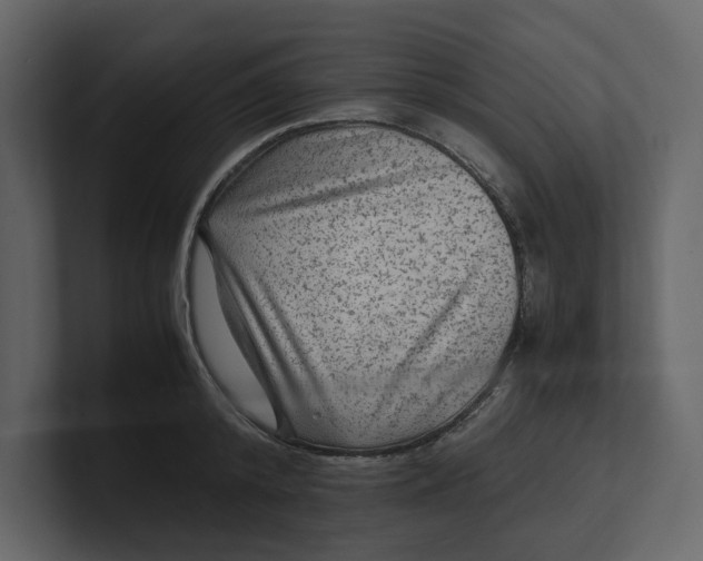 X0000100950800200807151336