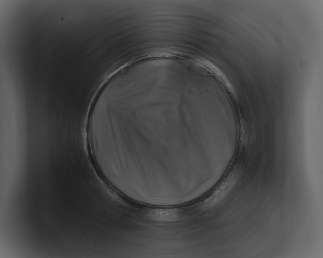 X0000100950802200807151336