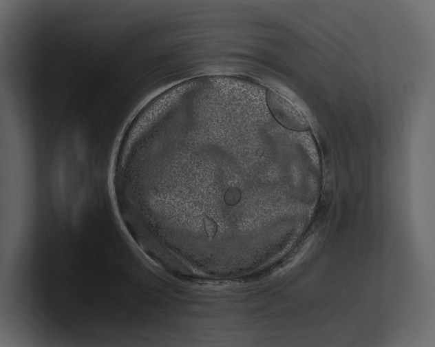 X0000100950803200807151336