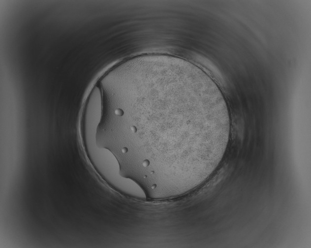 X0000100950804200807151336