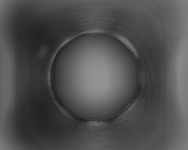 X0000100950805200807151336