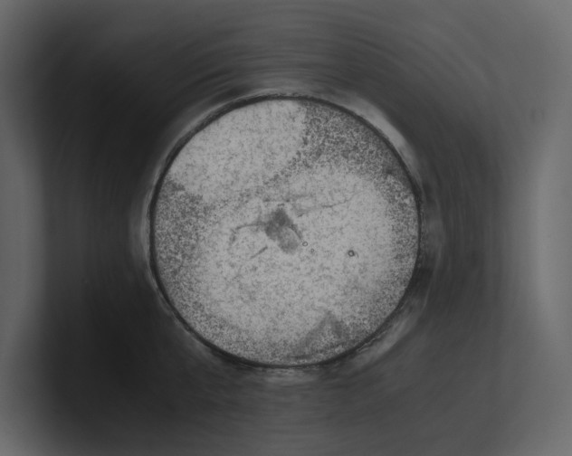 X0000100950807200807151336