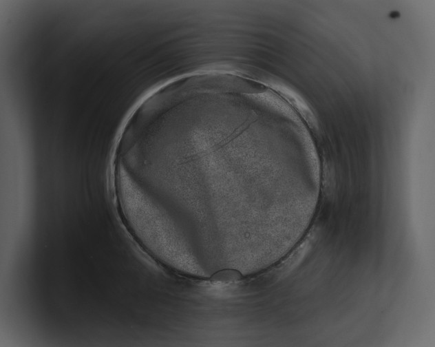 X0000100950808200807151336