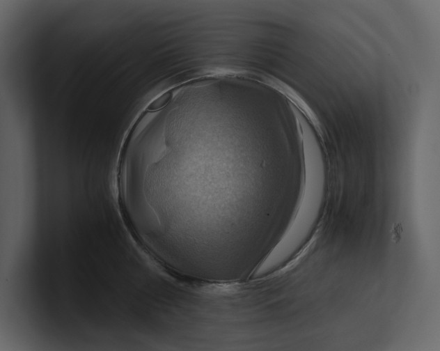 X0000100950810200807151336