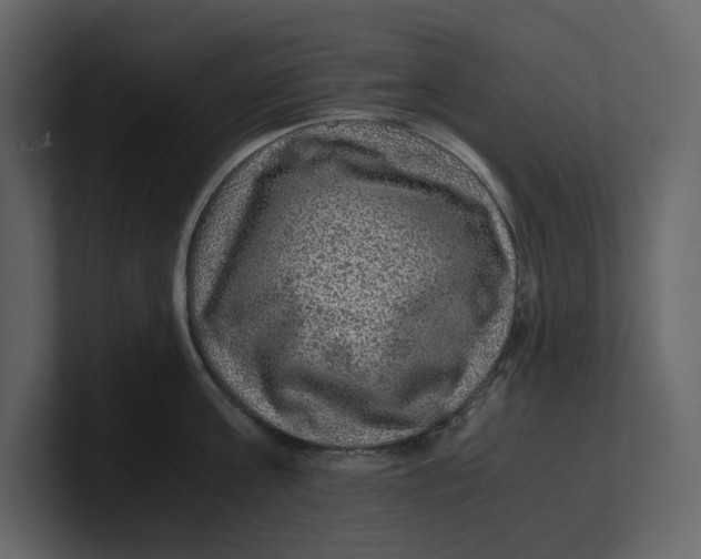 X0000100950811200807151336