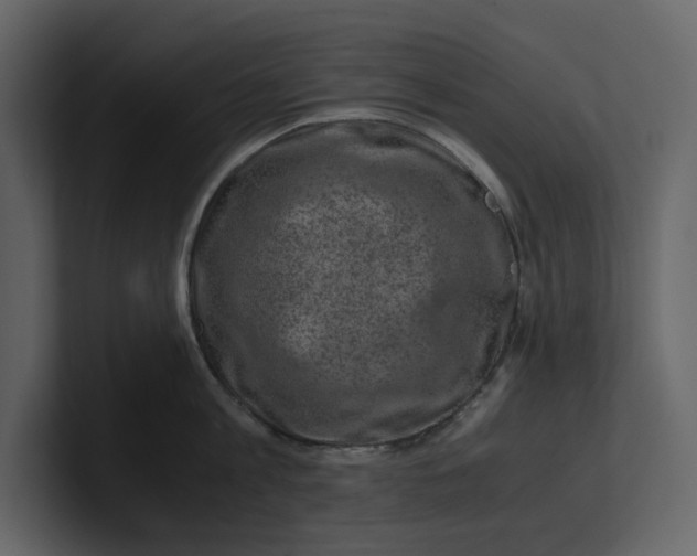 X0000100950813200807151336