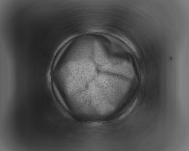 X0000100950814200807151336