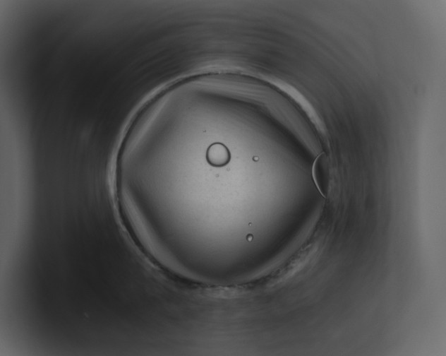 X0000100950815200807151336