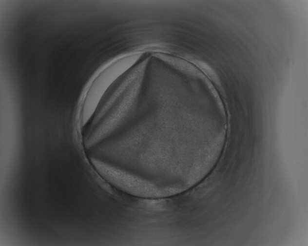 X0000100950816200807151335