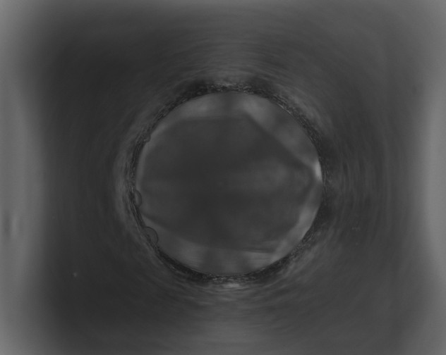 X0000100950817200807151335