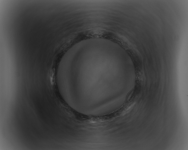 X0000100950818200807151335