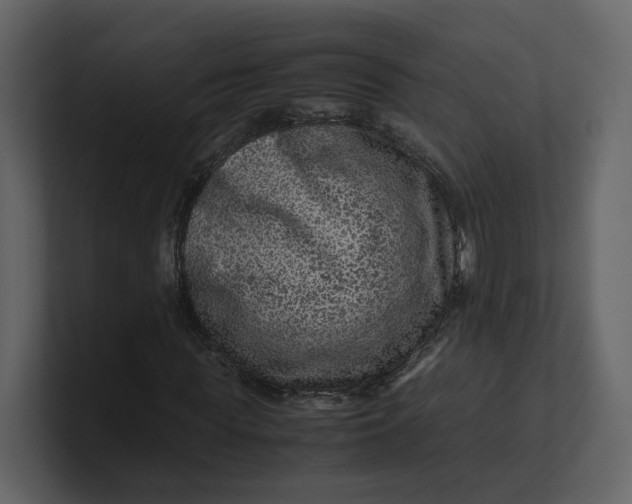 X0000100950819200807151335