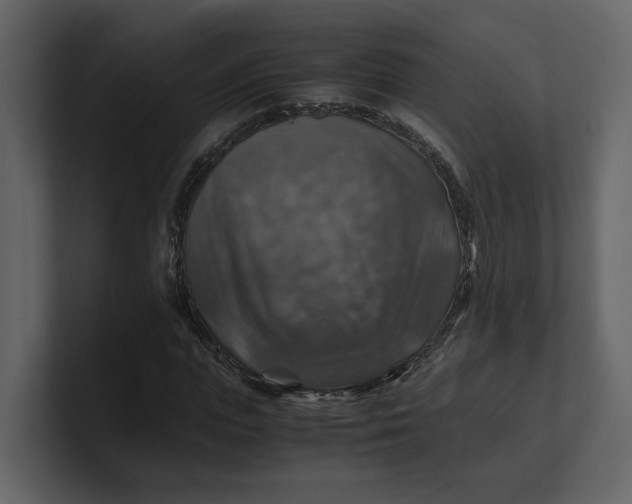 X0000100950823200807151335