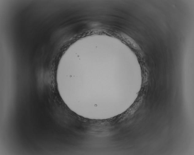 X0000100950824200807151335