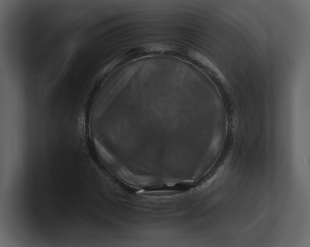 X0000100950825200807151335