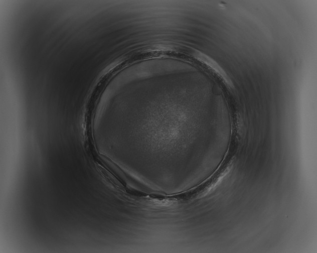 X0000100950826200807151335