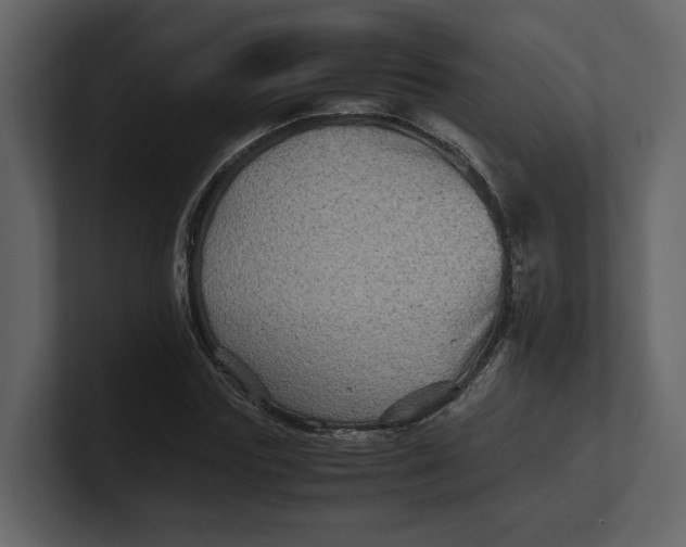 X0000100950827200807151335