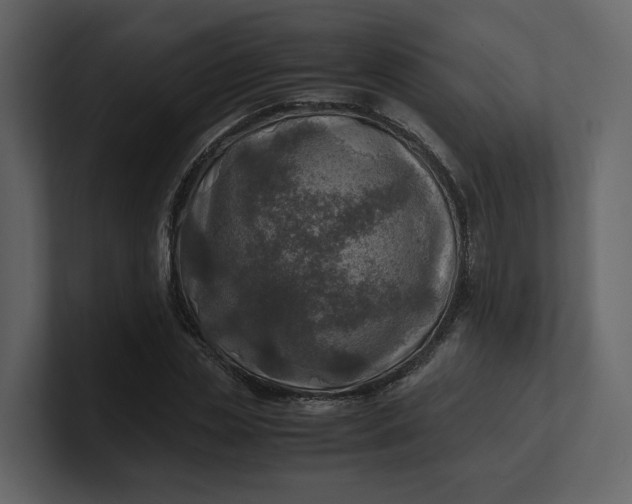 X0000100950829200807151335