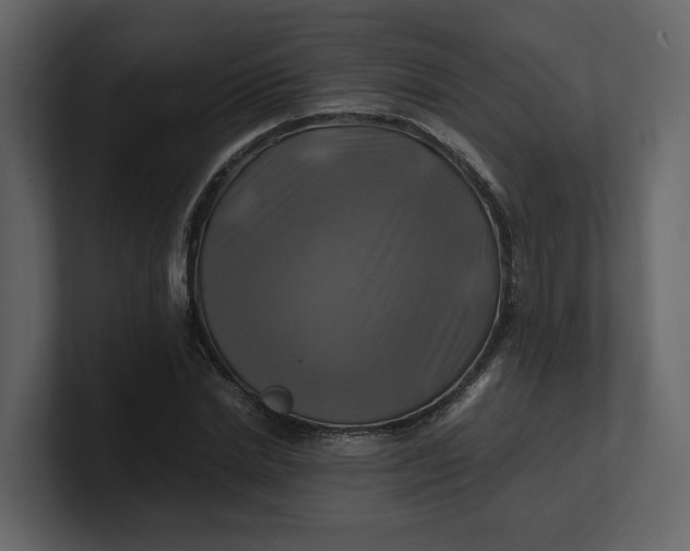 X0000100950830200807151335