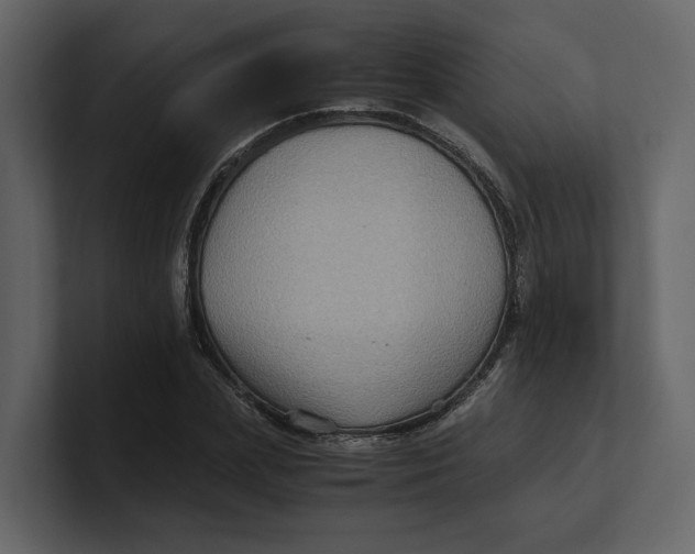 X0000100950831200807151335