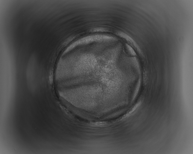 X0000100950833200807151335