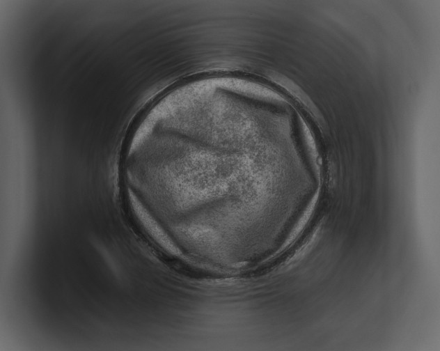 X0000100950834200807151335